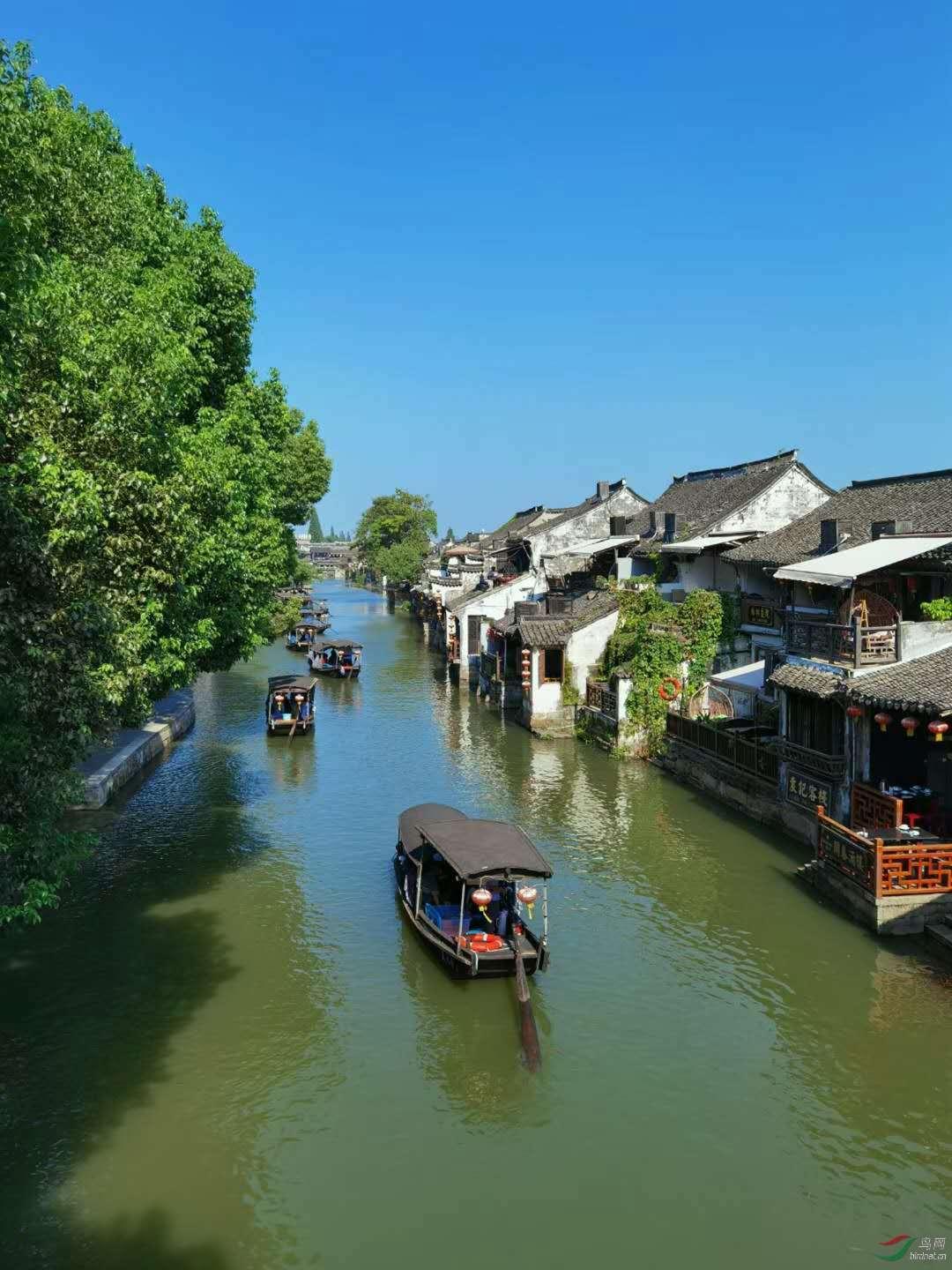 蓝狐视频